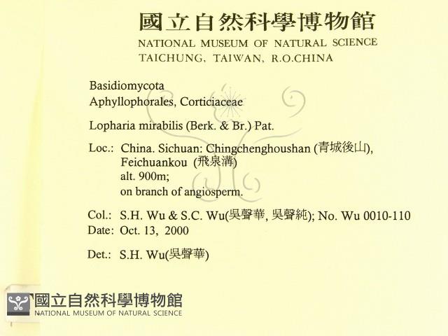 登錄號:F0012149藏品圖，第2張