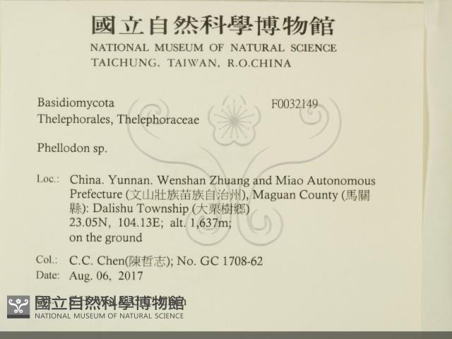 登錄號:F0032149藏品圖，第2張