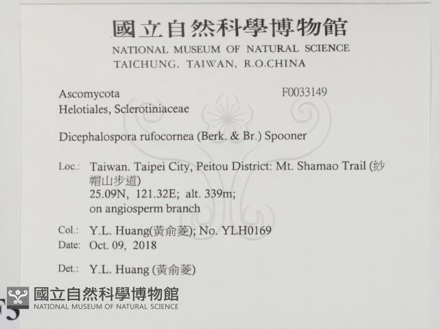 登錄號:F0033149藏品圖，第2張