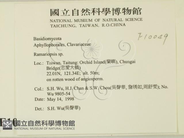 登錄號:F0010049藏品圖，第2張