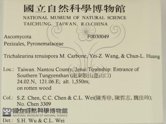 登錄號:F0030049藏品圖，第2張