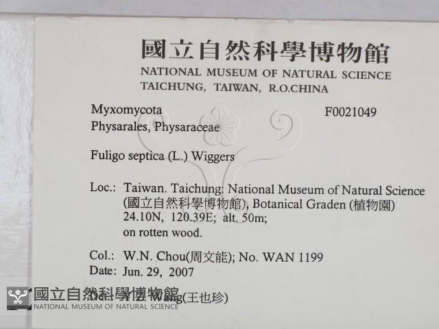 登錄號:F0021049藏品圖，第2張