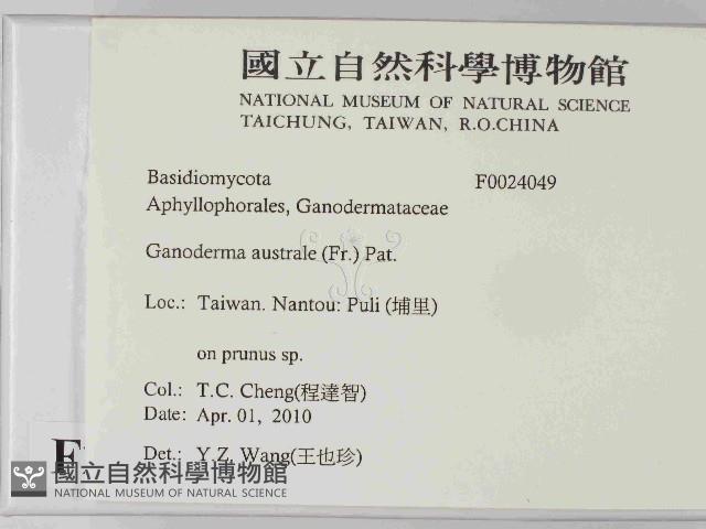 登錄號:F0024049藏品圖，第2張