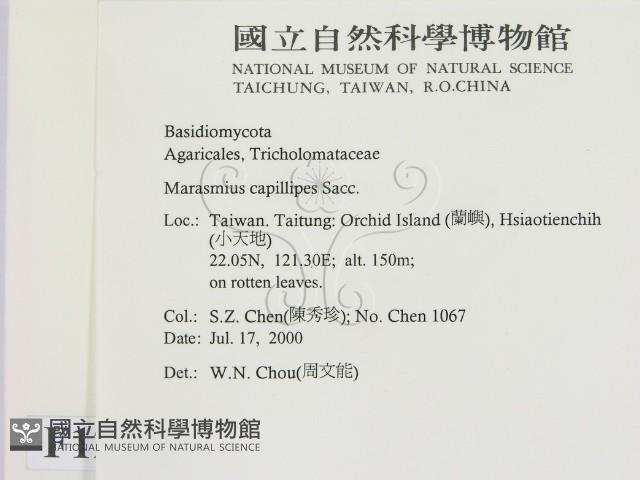 登錄號:F0012049藏品圖，第2張