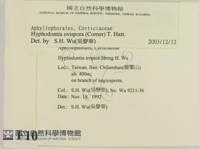 登錄號:F0010349藏品圖，第2張