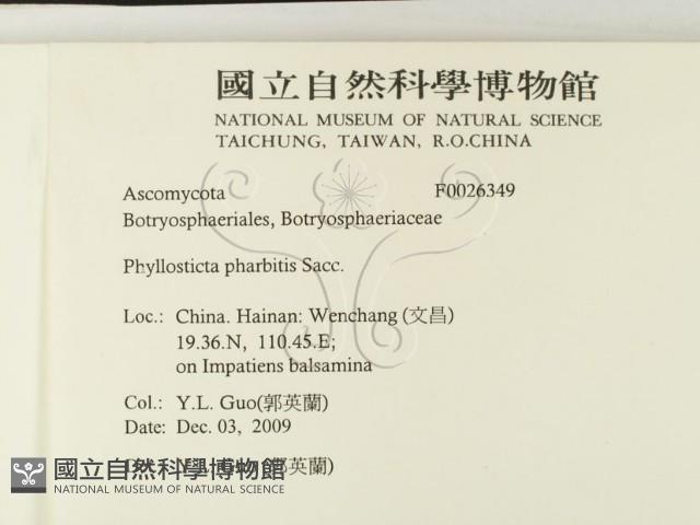 登錄號:F0026349藏品圖，第2張