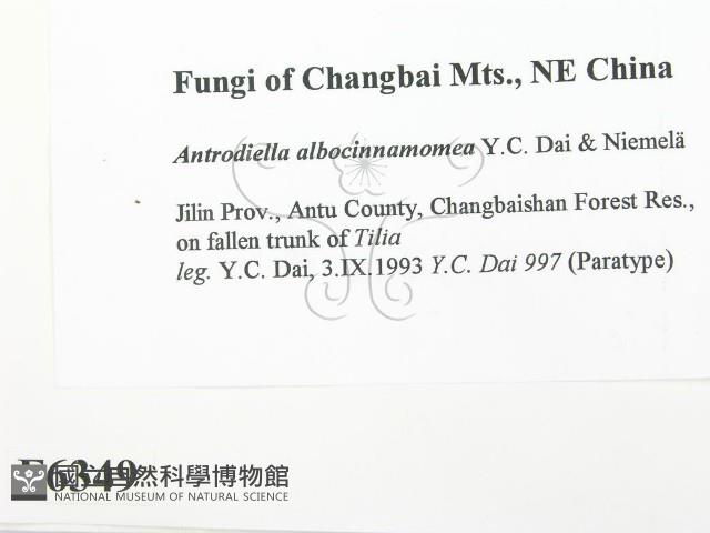 登錄號:F0006349藏品圖，第2張