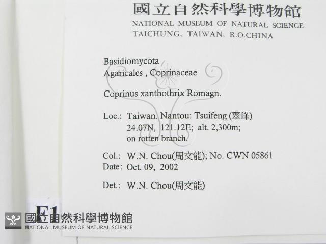 登錄號:F0016349藏品圖，第2張