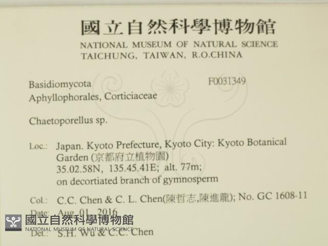 登錄號:F0031349藏品圖，第2張