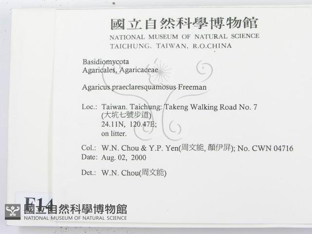 登錄號:F0014349藏品圖，第2張