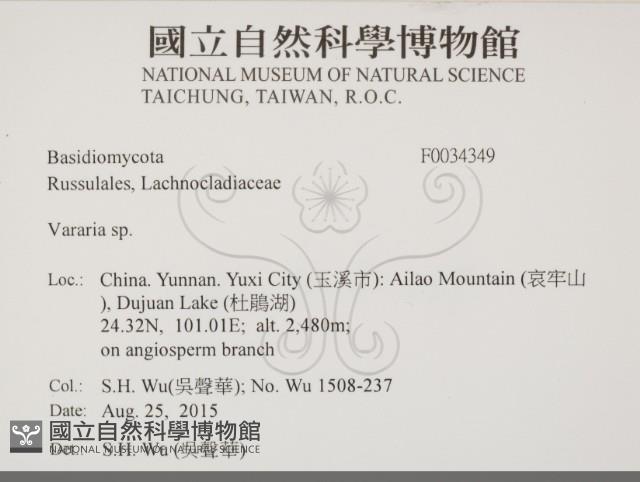 登錄號:F0034349藏品圖，第2張