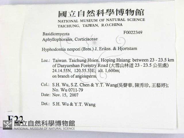 登錄號:F0022349藏品圖，第2張