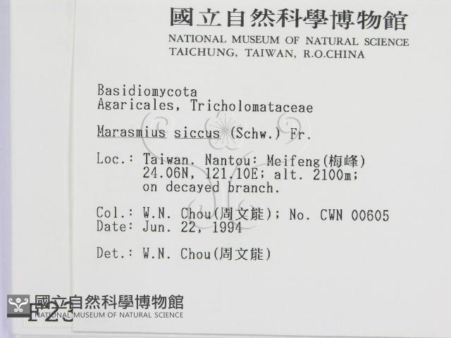 登錄號:F0002349藏品圖，第2張