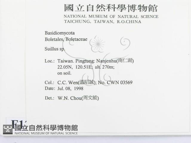 登錄號:F0012349藏品圖，第2張