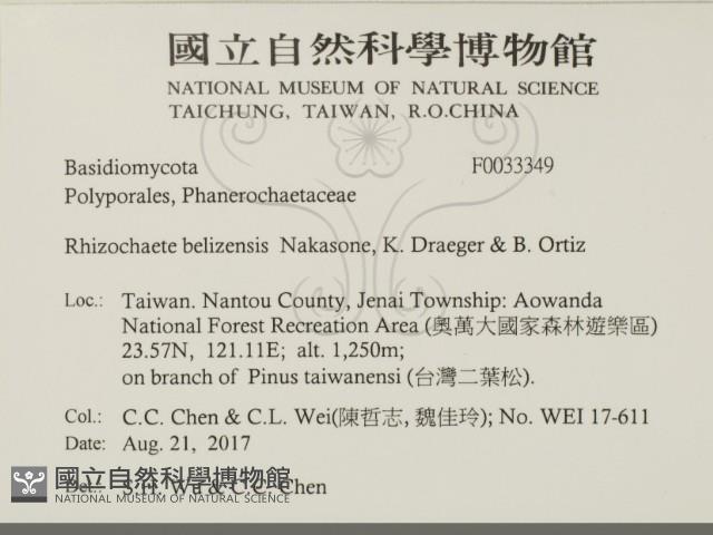 登錄號:F0033349藏品圖，第2張