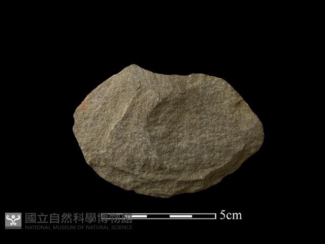 石片器藏品圖，第1張