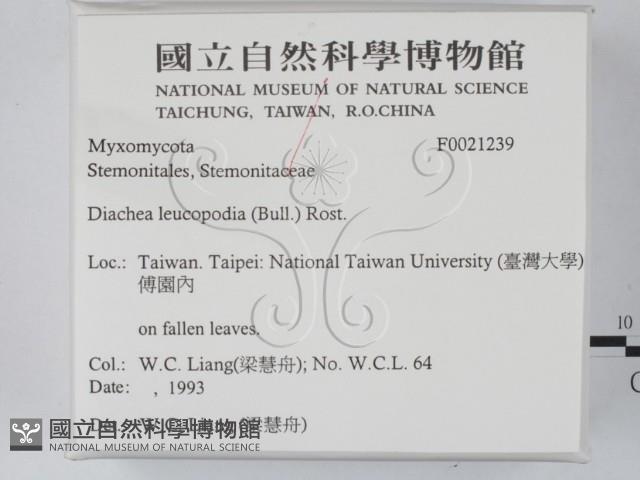 登錄號:F0021239藏品圖，第2張