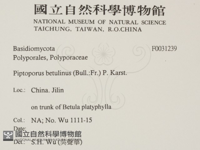 登錄號:F0031239藏品圖，第2張