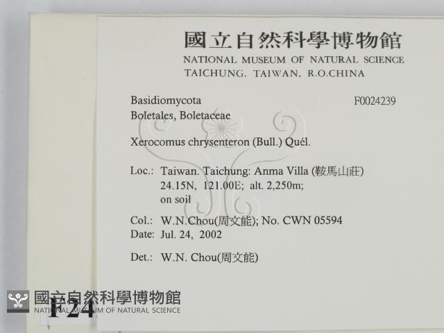 登錄號:F0024239藏品圖，第2張