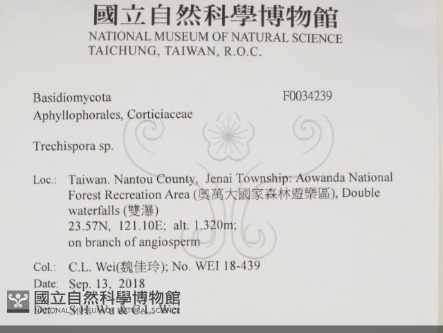 登錄號:F0034239藏品圖，第2張
