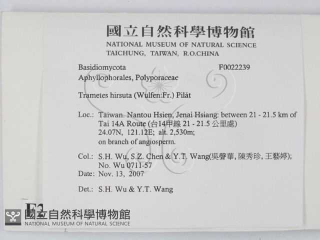 登錄號:F0022239藏品圖，第2張