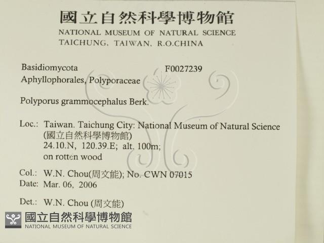 登錄號:F0027239藏品圖，第2張