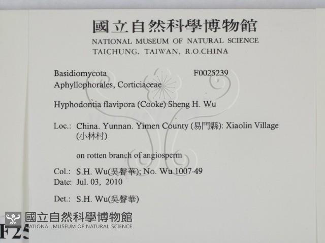 登錄號:F0025239藏品圖，第2張