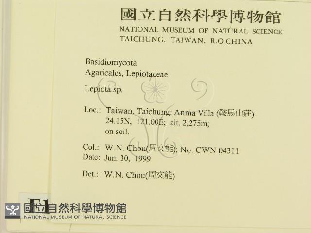 登錄號:F0013239藏品圖，第2張