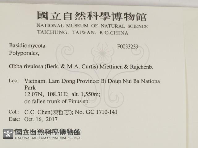 登錄號:F0033239藏品圖，第2張