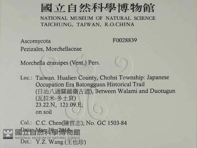登錄號:F0028839藏品圖，第2張