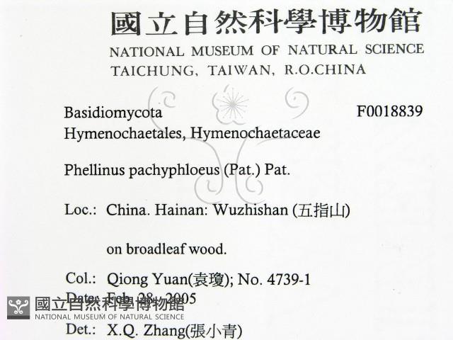 登錄號:F0018839藏品圖，第2張