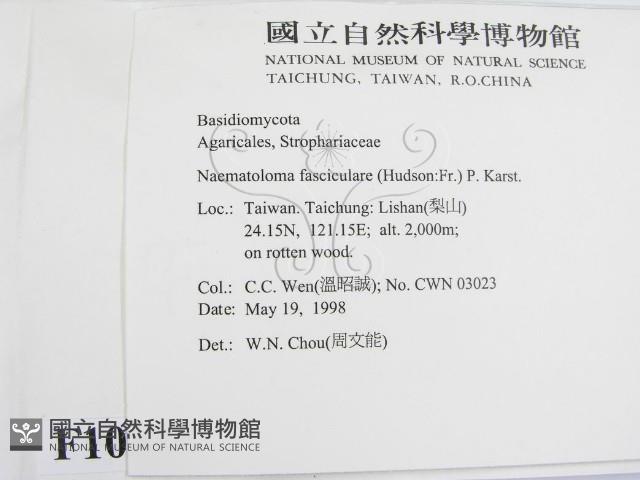 登錄號:F0010839藏品圖，第2張