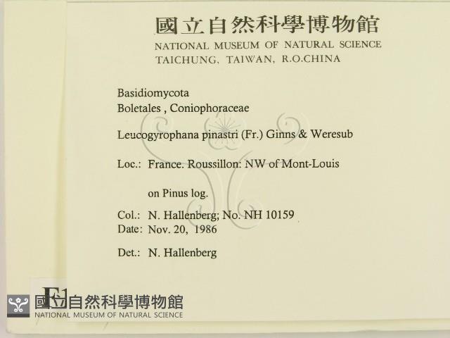 登錄號:F0016839藏品圖，第2張