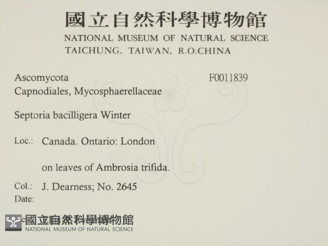 登錄號:F0011839藏品圖，第2張