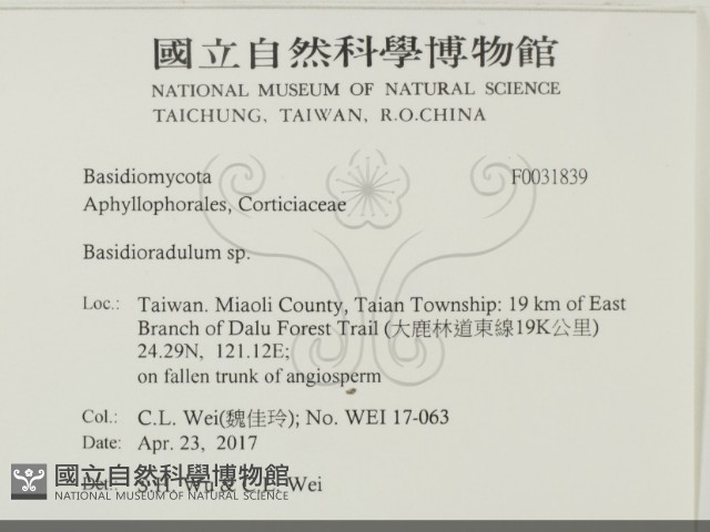 登錄號:F0031839藏品圖，第2張