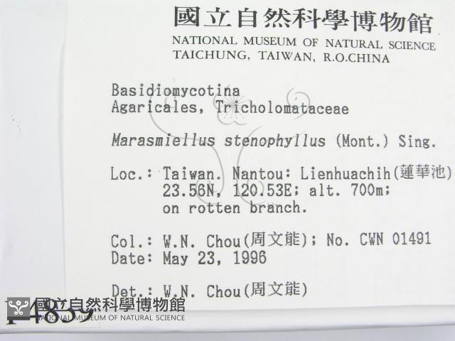 登錄號:F0004839藏品圖，第2張