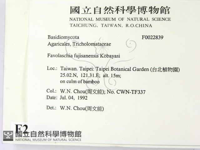 登錄號:F0022839藏品圖，第2張