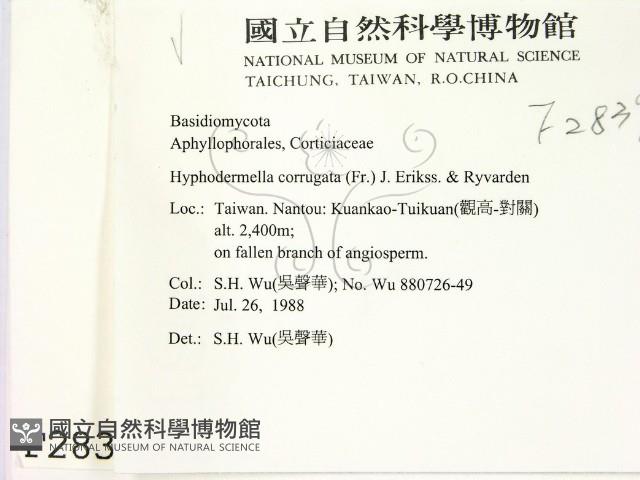 登錄號:F0002839藏品圖，第2張