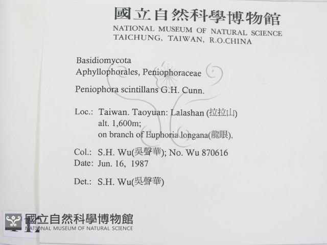 登錄號:F0012839藏品圖，第2張