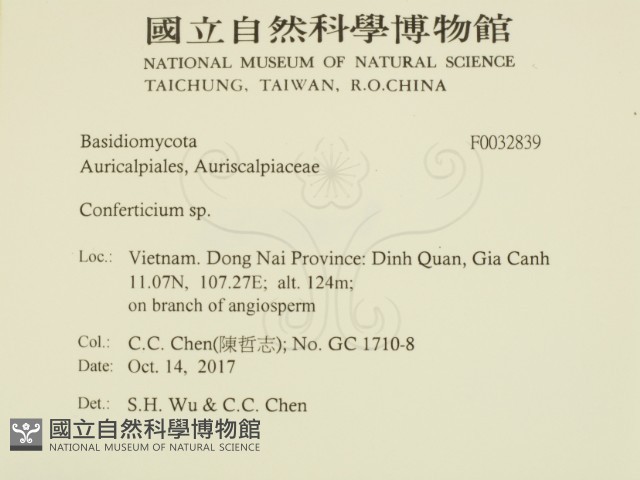 登錄號:F0032839藏品圖，第2張