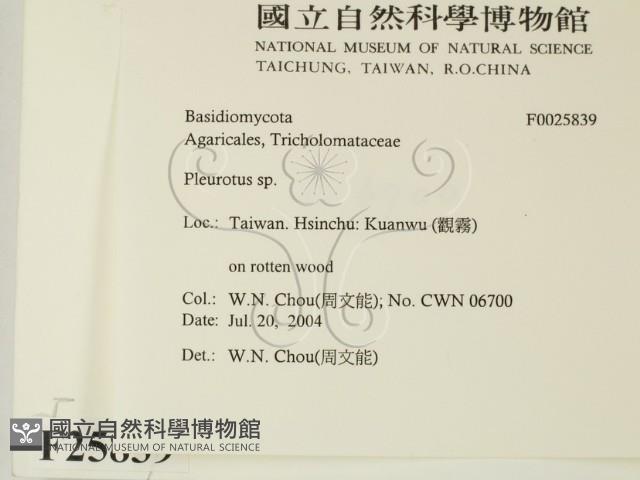 登錄號:F0025839藏品圖，第2張