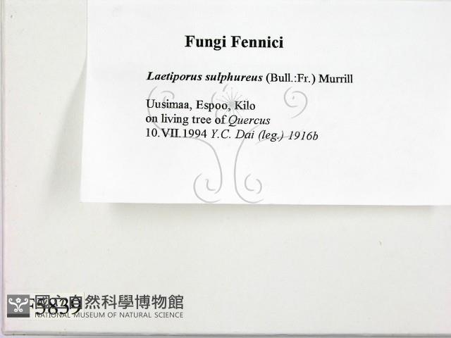 登錄號:F0005839藏品圖，第2張