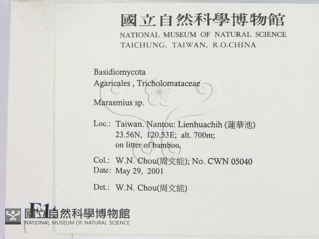 登錄號:F0015839藏品圖，第2張