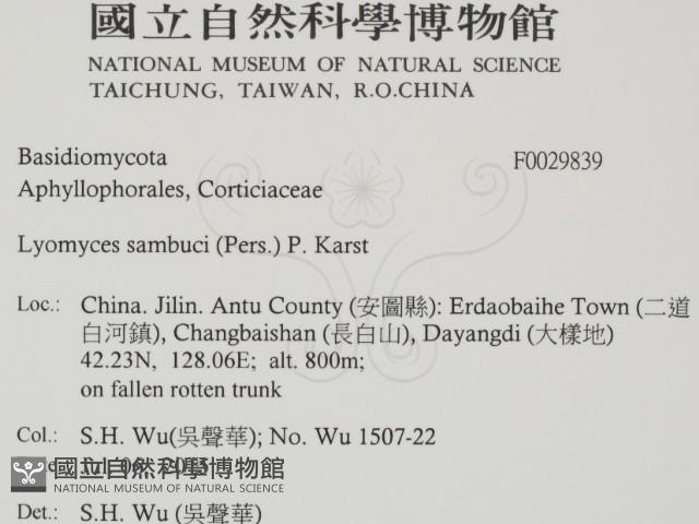 登錄號:F0029839藏品圖，第2張