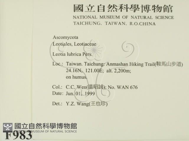 登錄號:F0009839藏品圖，第2張