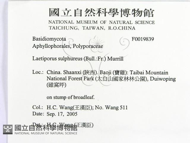 登錄號:F0019839藏品圖，第2張