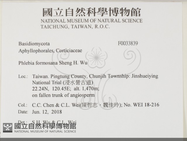 登錄號:F0033839藏品圖，第2張