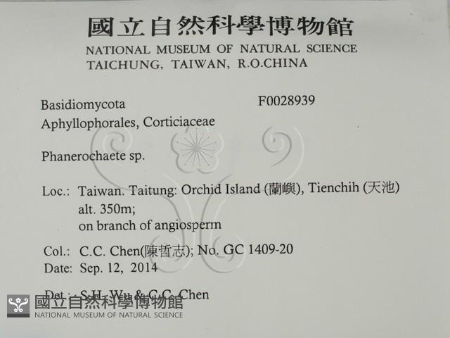 登錄號:F0028939藏品圖，第2張