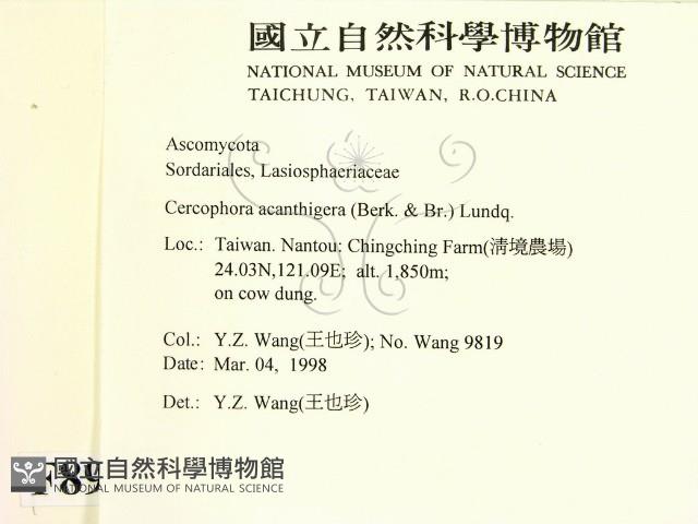 登錄號:F0008939藏品圖，第2張