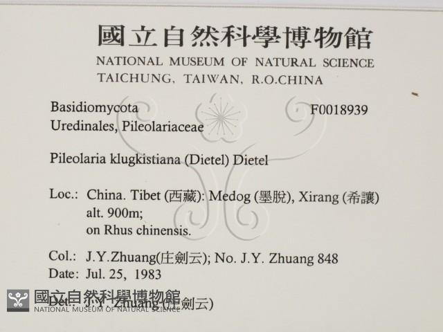 登錄號:F0018939藏品圖，第2張